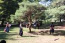 "Larping" in Central Park